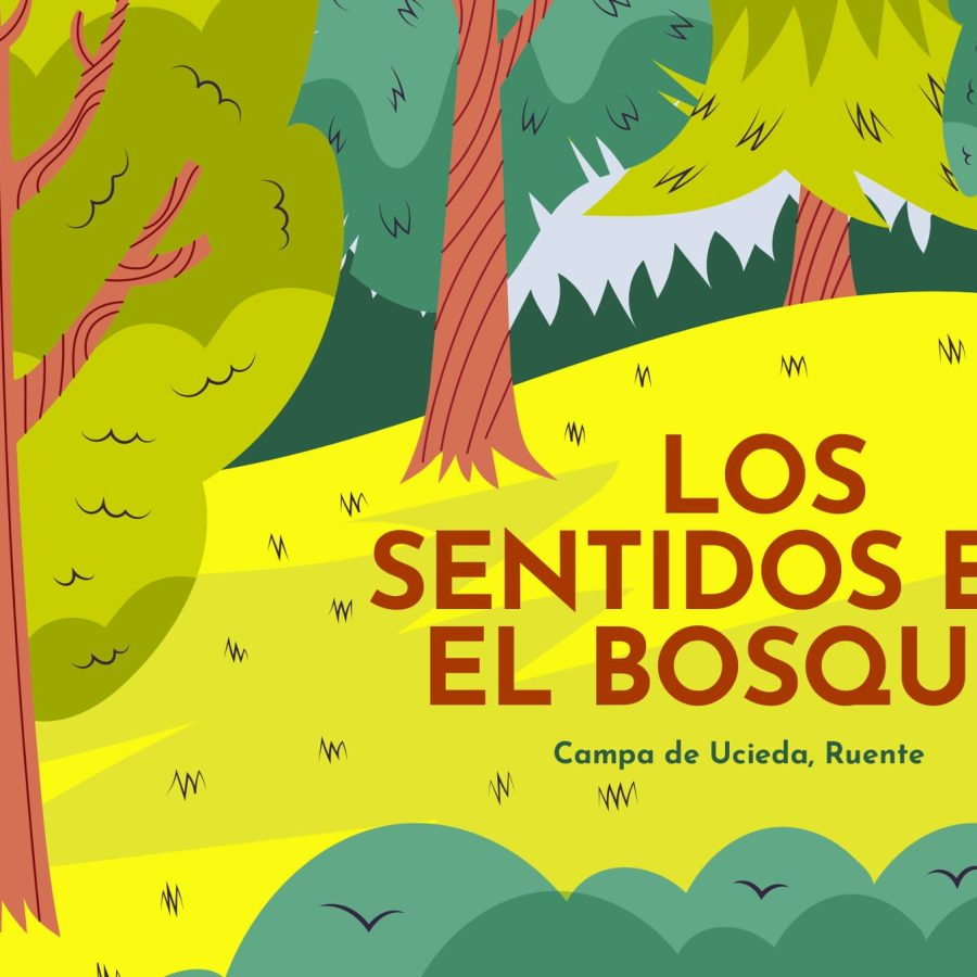 Cuaderno de Campo Los Sentidos en el Bosque, Campa de Ucieda, Ruente