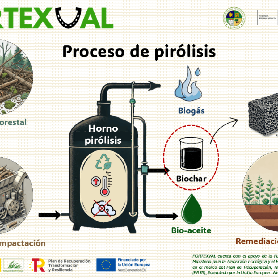 Infografía 3: Pirólisis