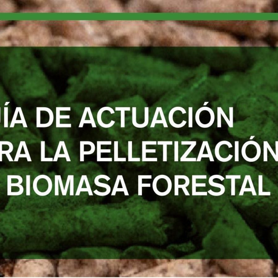 Guía de actuación para la peletización de biomasa forestal