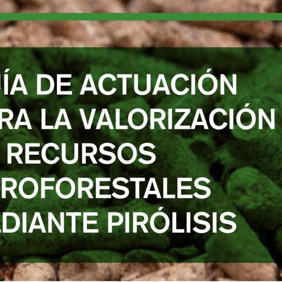 Guía de actuación para la valorización de recursos agroforestales mediante pirólisis