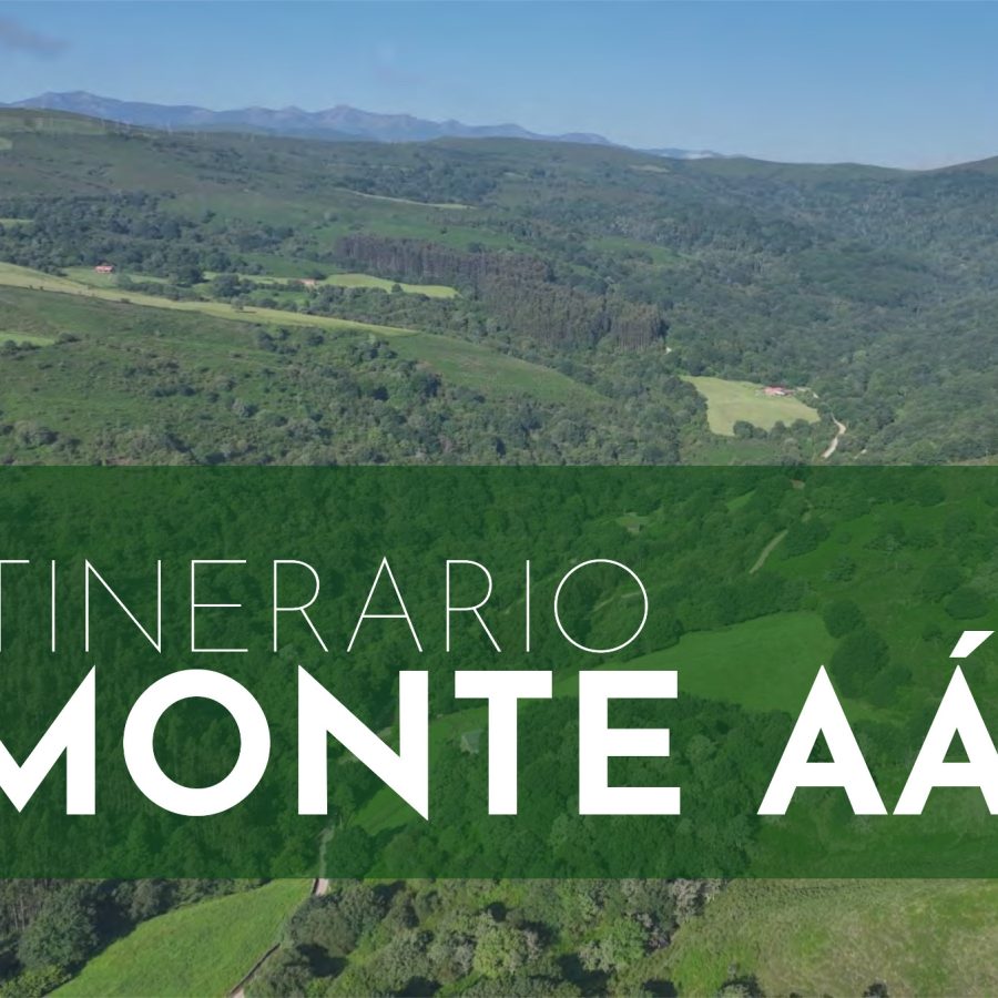 Itinerario Interpretativo Monte Aá, Ruente