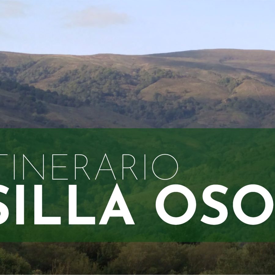 Itinerario interpretativo de Silla Oso, Mazcuerras