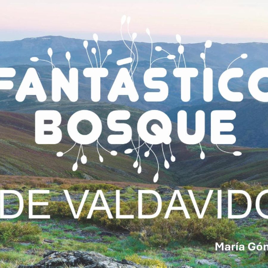 Presentación Fantástico Bosque de Valdavido jornada FORTEXVAL en el CIFP La Granja de Heras