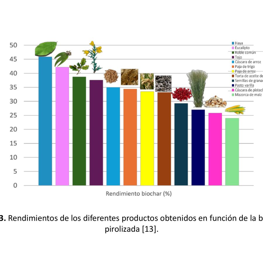 Publicacion biochar CTC